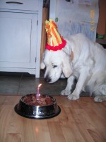 /album/moje-i-narozeniny/kif-6888-jpg1/