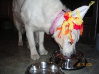 /album/moje-i-narozeniny/kif-6907-jpg/