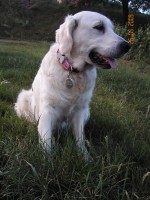 /album/moje-i-narozeniny/kif-6920-jpg1/