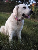 /album/moje-i-narozeniny/kif-6921-jpg1/