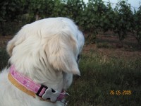 /album/moje-i-narozeniny/kif-6924-jpg1/