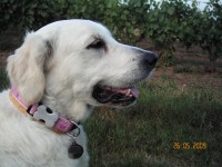 /album/moje-i-narozeniny/kif-6925-jpg1/