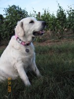 /album/moje-i-narozeniny/kif-6931-jpg1/