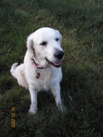 /album/moje-i-narozeniny/kif-6937-jpg1/