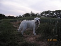 /album/moje-i-narozeniny/kif-6942-jpg2/