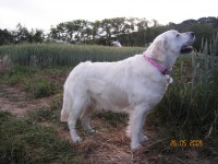 /album/moje-i-narozeniny/kif-6943-jpg1/